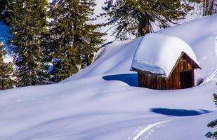 velha cabana na neve