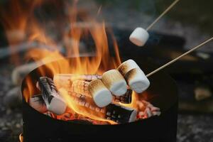 queimando fogo dentro uma compactar grade, madeira Histórico engolido dentro vermelho chamas, fechar-se do fritar marshmallows em fogo, fumaça sobe, conceito do Diversão festa, cozinhando delicadeza ao ar livre, gerar ai foto