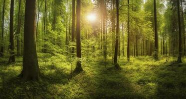 lindo raios do luz solar dentro uma verde floresta, gerar ai foto