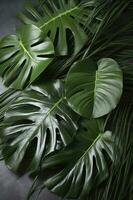 tropical Palma monstera folhas isolado em cinzento mesa fundo. , gerar ai foto