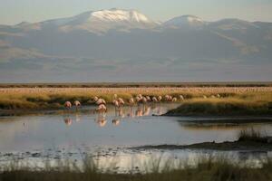 uma grupo do flamingos vadear através uma exuberante pantanal com montanhas dentro a fundo, gerar ai foto