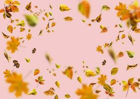 isolado outono folhas Rosa fundo foto