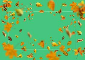 coleção conjunto do lindo colorida outono folhas isolado em verde fundo foto