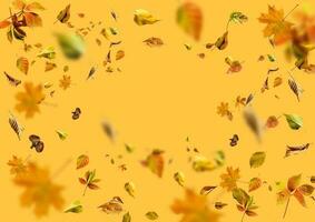 isolado outono folhas amarelo fundo foto