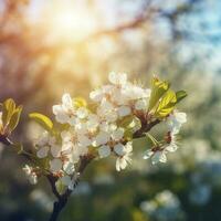 Primavera Flor fundo. natureza cena com florescendo árvore e Sol flare. Primavera flores lindo pomar, luz azul fundo , gerar ai foto