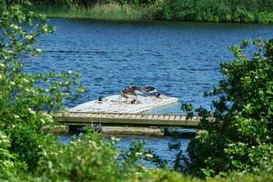 lindo baixo ângulo Visão do local público parque do caldecote lago Milton Keynes, Inglaterra Reino Unido foto