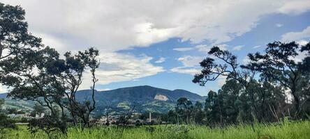 lindo estrada com floresta por aí foto