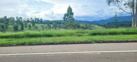 imagem do montanhas dentro a interior do Brasil foto