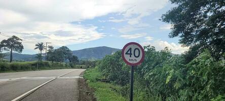 lindo estrada com floresta por aí foto