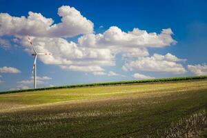 terras agrícolas e vento turbina foto