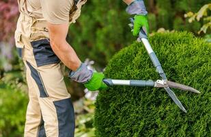 jardineiro poda e modelar arbustos. foto