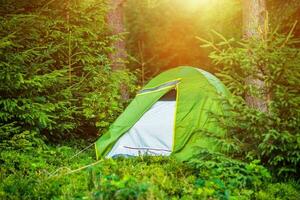 selvagem verão acampamento foto