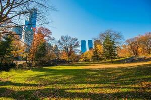 central park nova york foto