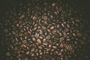 grãos de café arábica foto