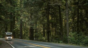 motorhome campista furgão em a cênico bosque rodovia foto