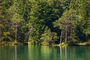 bávaro cênico lago e floresta linha Alemanha foto