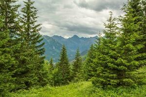 cênico tatra montanhas Lugar, colocar foto