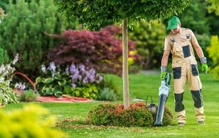 homens com folha ventilador limpeza quintal jardim foto