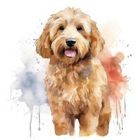 fofa aguarela goldendoodle cachorro. ilustração ai generativo foto