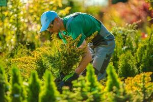 Novo plantas para jardim projeto foto