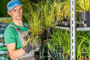 masculino trabalhador meia acima plantas em prateleiras dentro estufa. foto