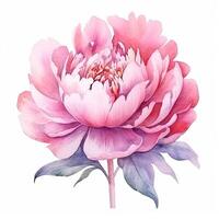 aguarela lindo peônia flor. ilustração ai generativo foto