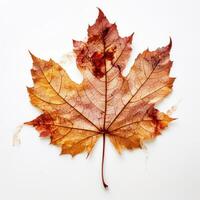 outono folha isolado. ilustração ai generativo foto