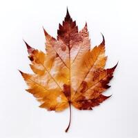 outono folha isolado. ilustração ai generativo foto