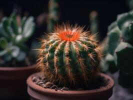 miniatura casa flores suculentos e cacto dentro a jardim criada com generativo ai tecnologia foto