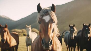 puro-sangue cavalos pastar com verde lindo montanha fundo dentro manhã, ai generativo foto