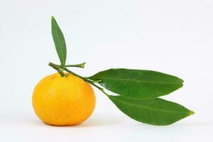 amarelo tangerina mandarim laranja foto