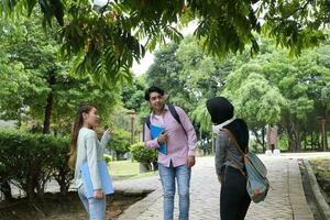 jovem ásia malaio chinês homem mulher ao ar livre parque andar ficar de pé estude conversa discutir ponto computador portátil Arquivo livro mochila misturar-se foto