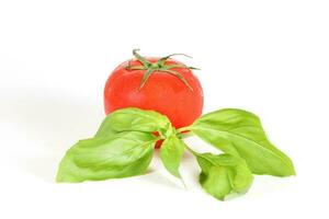 tomate e manjericão foto