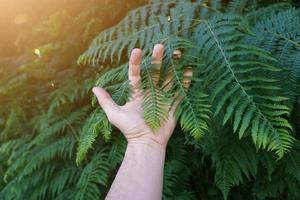 mão com folhas verdes sentindo a natureza