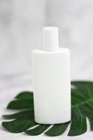 frasco cosmético branco em folha de palmeira foto