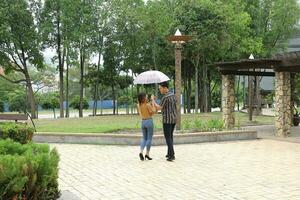 jovem ásia malaio homem mulher ao ar livre verde parque andar conversa discutir misturar-se debaixo guarda-chuva foto