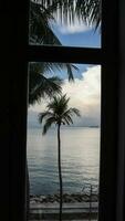 lindo Visão através janela Palma árvores oceano mar azul água nublado céu foto