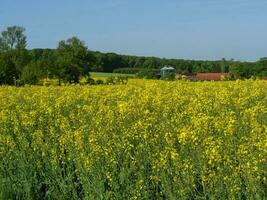 primavera na Vestfália foto