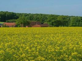 primavera na Vestfália foto