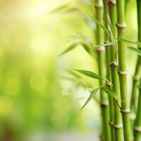 verde natural fundo com bambu. ilustração ai generativo foto