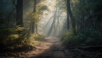 misterioso floresta caminho conduz para desaparecimento ponto dentro assustador clima gerado de ai foto