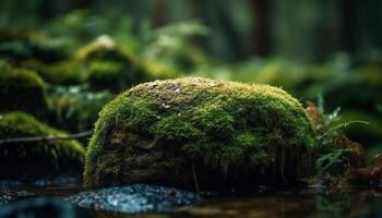 fresco verde folhas em molhado árvore ramo gerado de ai foto