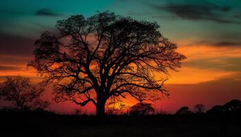 silhueta do acácia árvore dentro africano pôr do sol gerado de ai foto