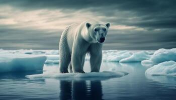 majestoso ártico mamífero em pé em congeladas gelo floe gerado de ai foto