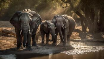 ampla africano elefante rebanho caminhando dentro tranquilo savana panorama gerado de ai foto