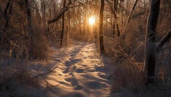 tranquilo inverno floresta, neve coberto trilha, luz solar através pinho árvores gerado de ai foto