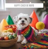 adorável animal cachorro com mexicano vestindo. cinco de maionese decorações. ai gerado foto