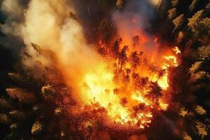 aéreo Visão incêndios dentro bosques, esboço, projeto e quente clima. ai gerado foto