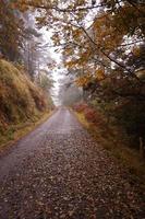 estrada com árvores marrons na montanha na temporada de outono