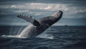 majestoso corcunda baleia violações, espirrando dentro a azul mar gerado de ai foto